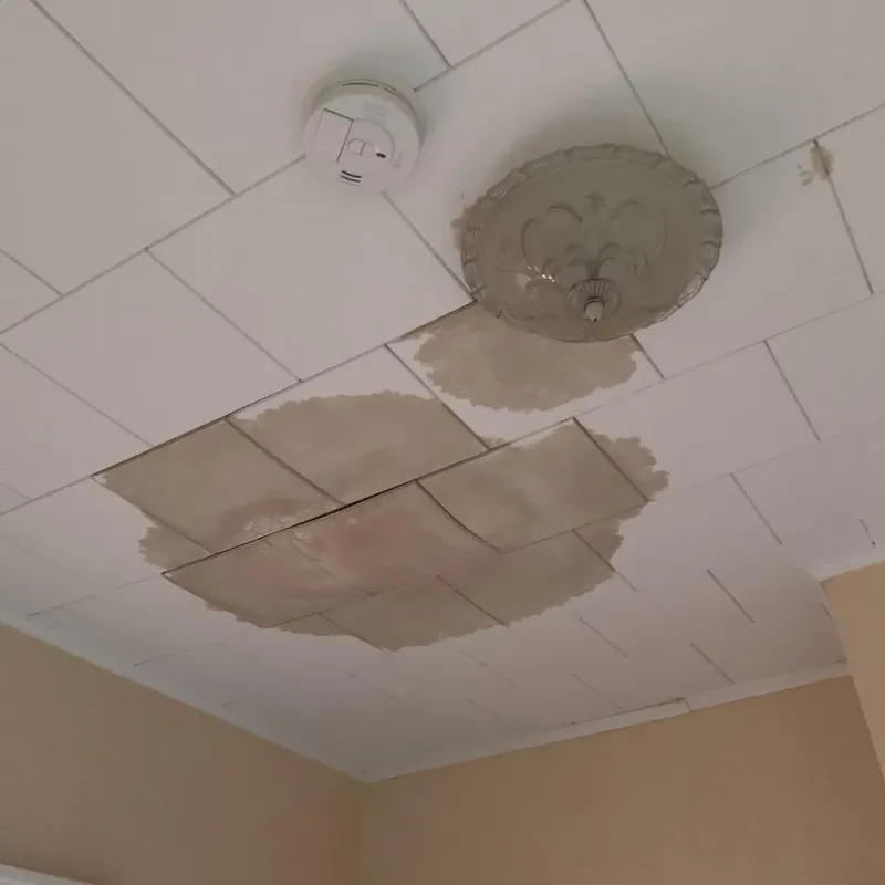 Ceiling Water Damage Repair in Violet, LA