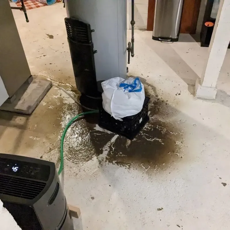 Sewage Backup Cleanup Service in Violet, LA